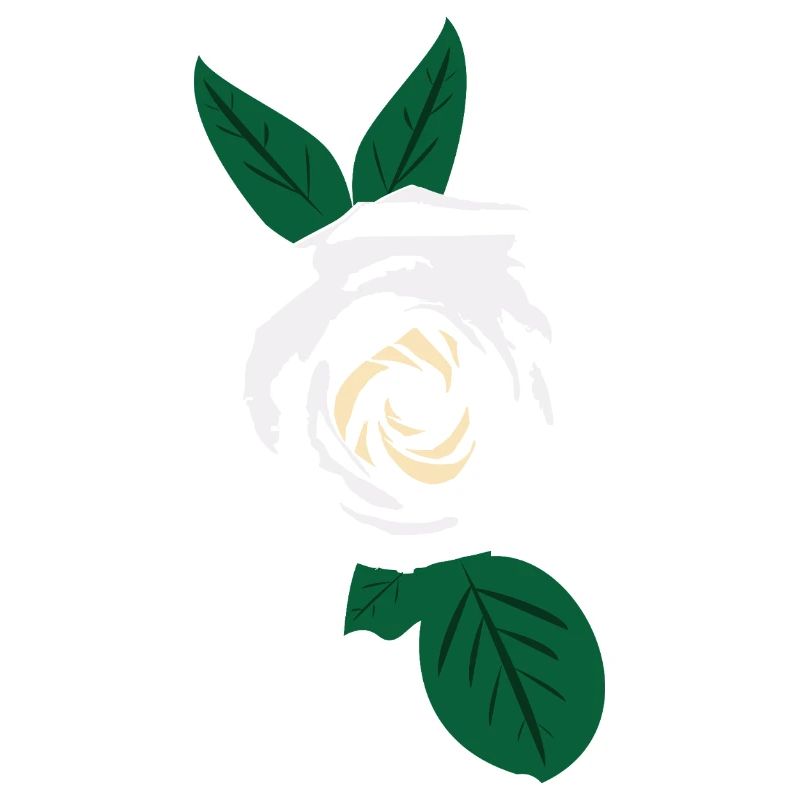 Rose blanche à feuilles vertes