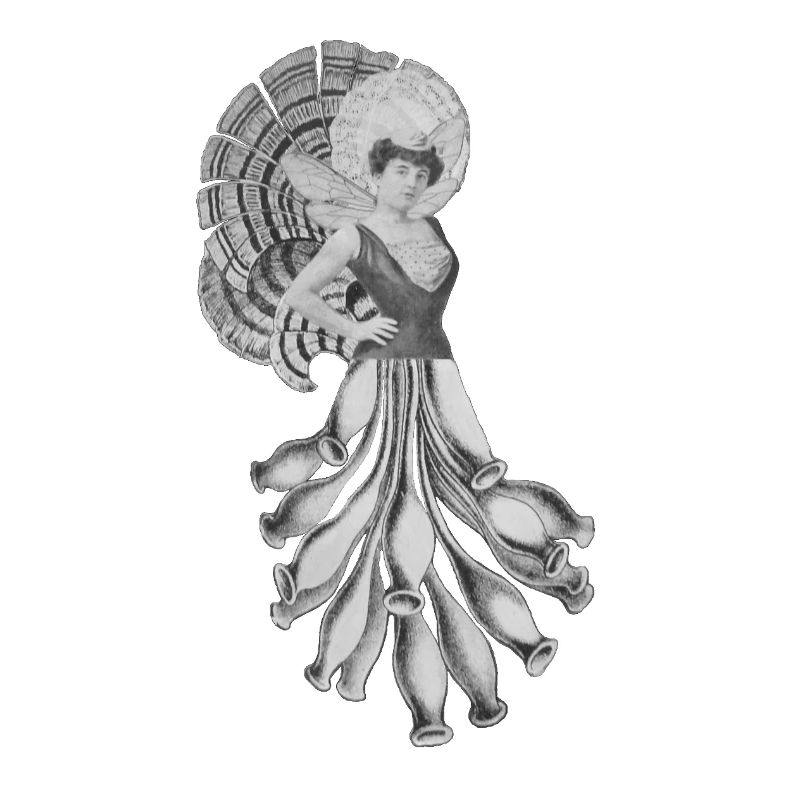 Victorian Dancer with Feather Fan