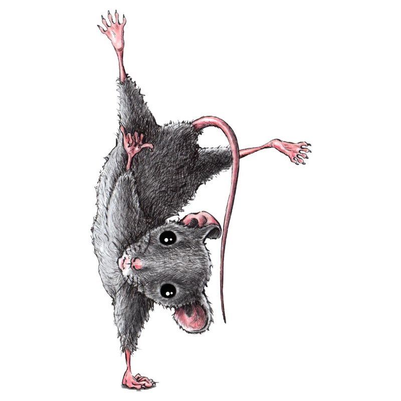 Mouse