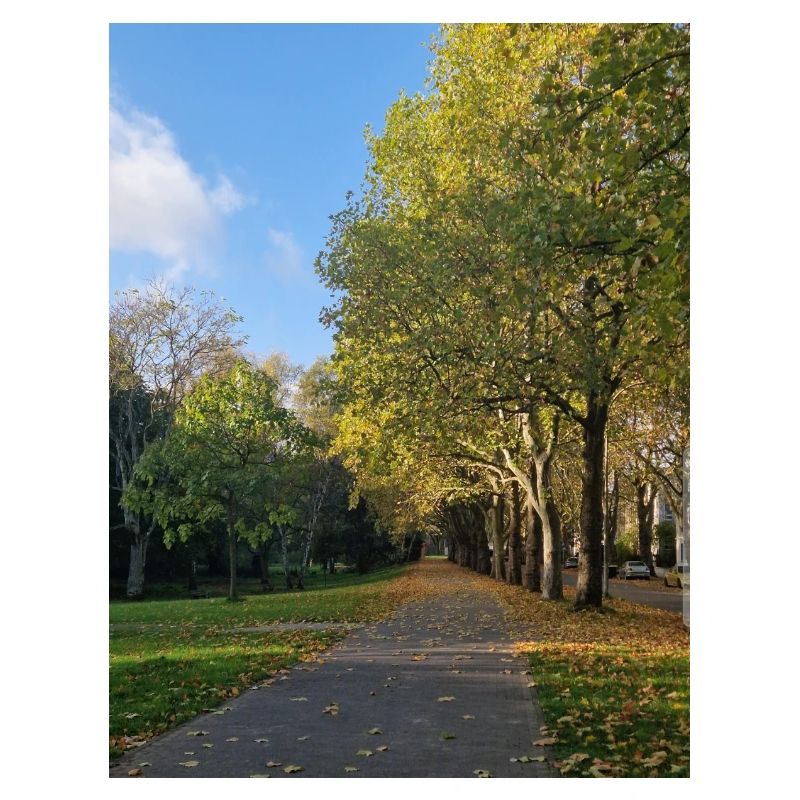 Autumn path through Lauballee