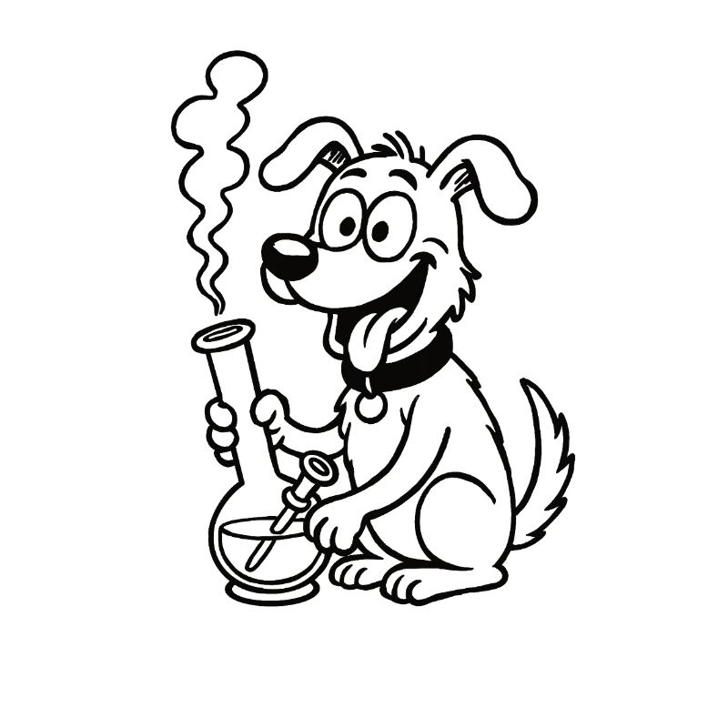 Bongodoggo