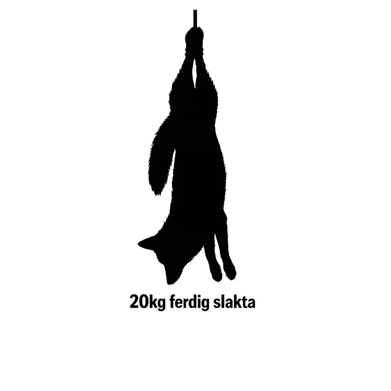 20kg
