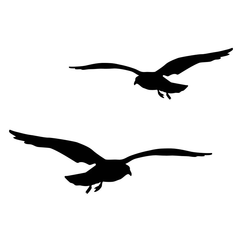 mouette