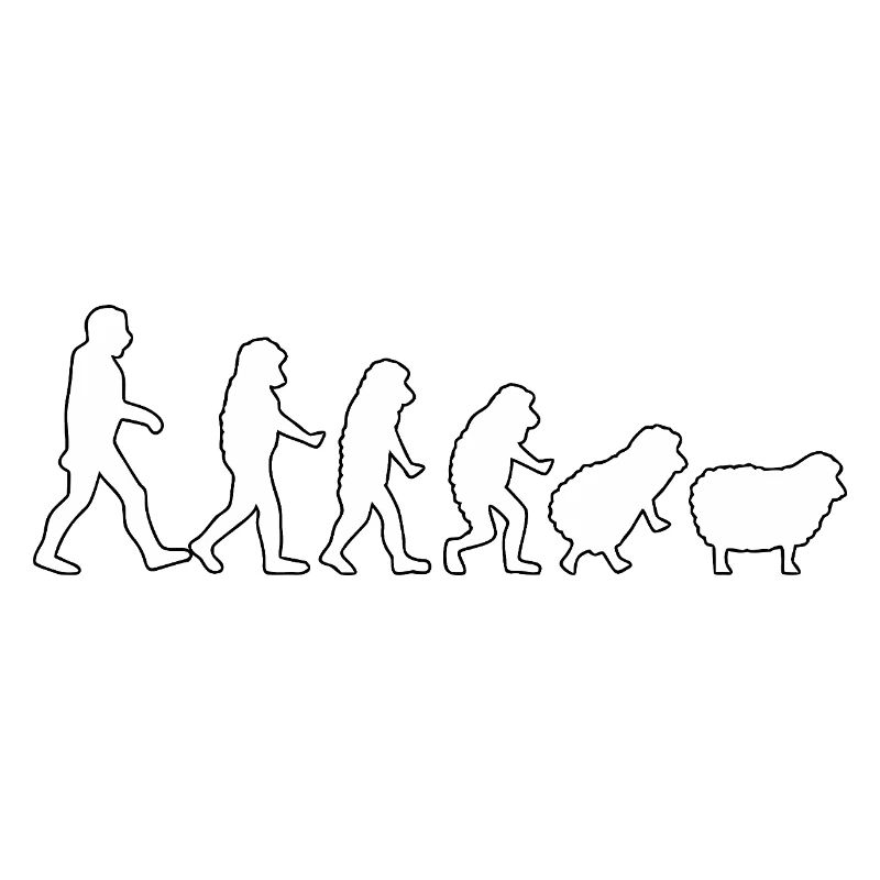 Evolution to Sheep: Herd Mindset