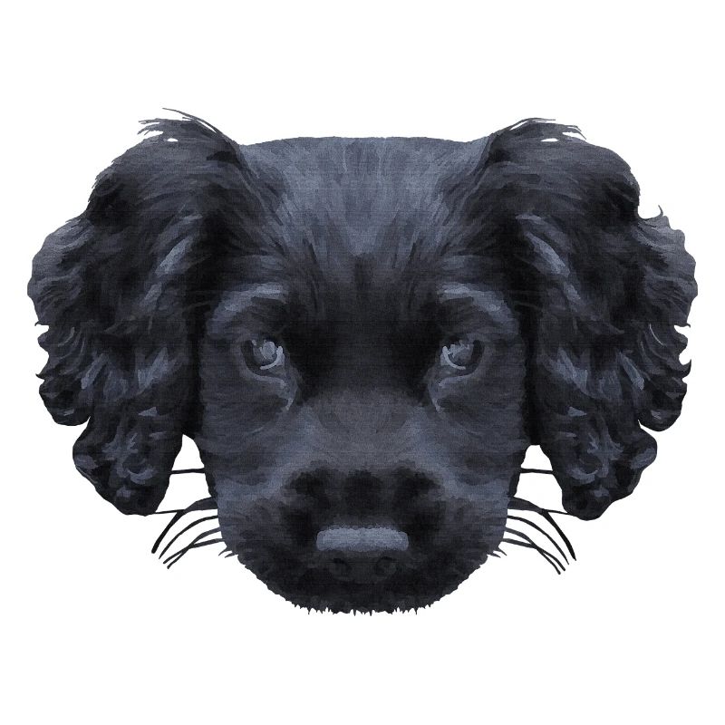 weihnachtsgeschenke für jedermann, Cocker spaniel
