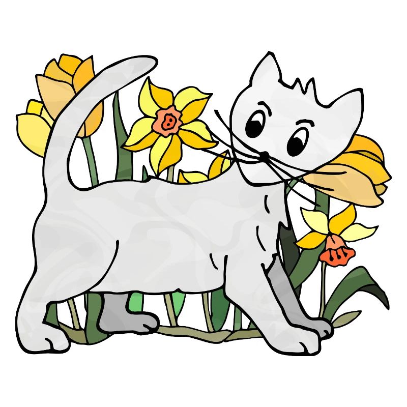 chat