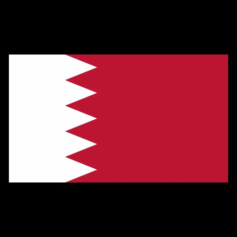 Qatar Flag Flag