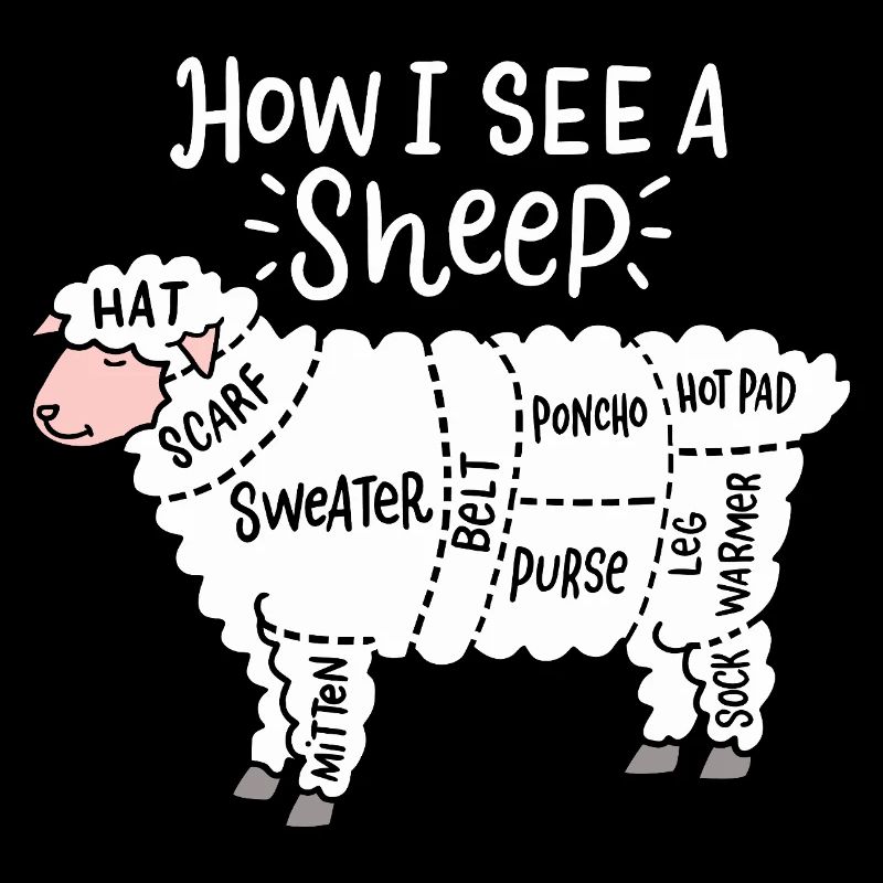 How I See a Sheep Diagram