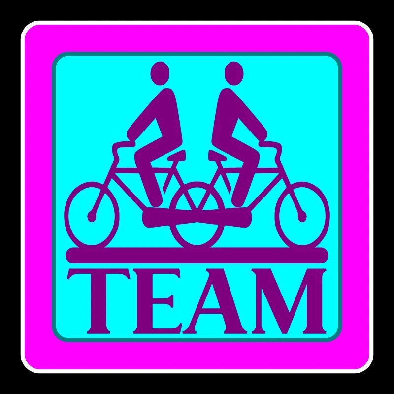 TEAM PROBLEMS - BIKE