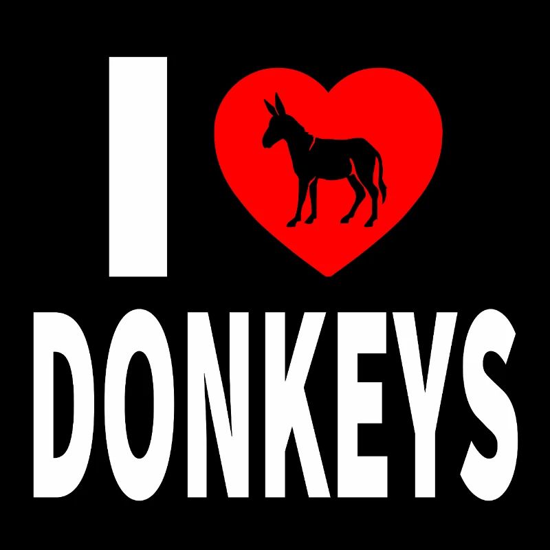 donkey