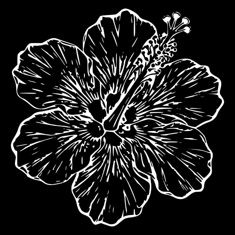 Cadeau de Noël de fleurs d’hibiscus hawaïen, fleurs d’hibiscus
