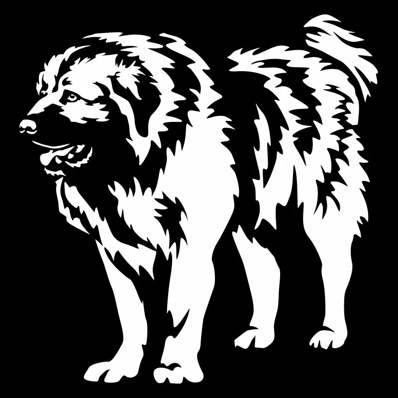 Kaukasischer Owtscharka "Black Edition"