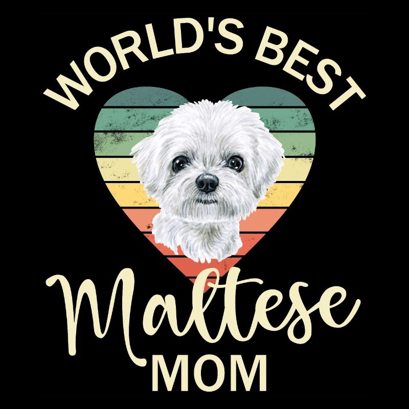Malteser Hund