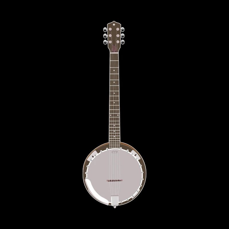 Banjo - Single Banjo