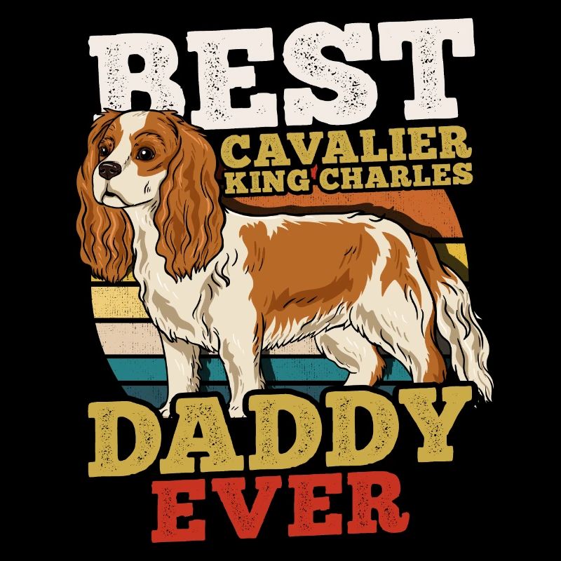 Cavalier Roi Charles