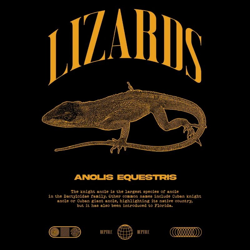 Cuban Knight Anole Reptile Keeper Lizard