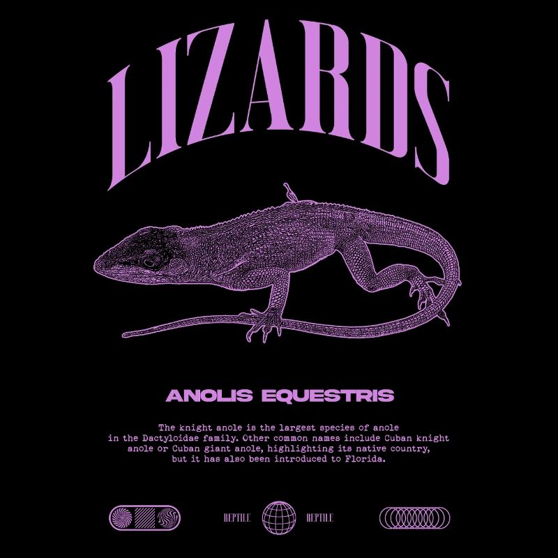 Cuban Knight Anole Reptile Keeper Lizard