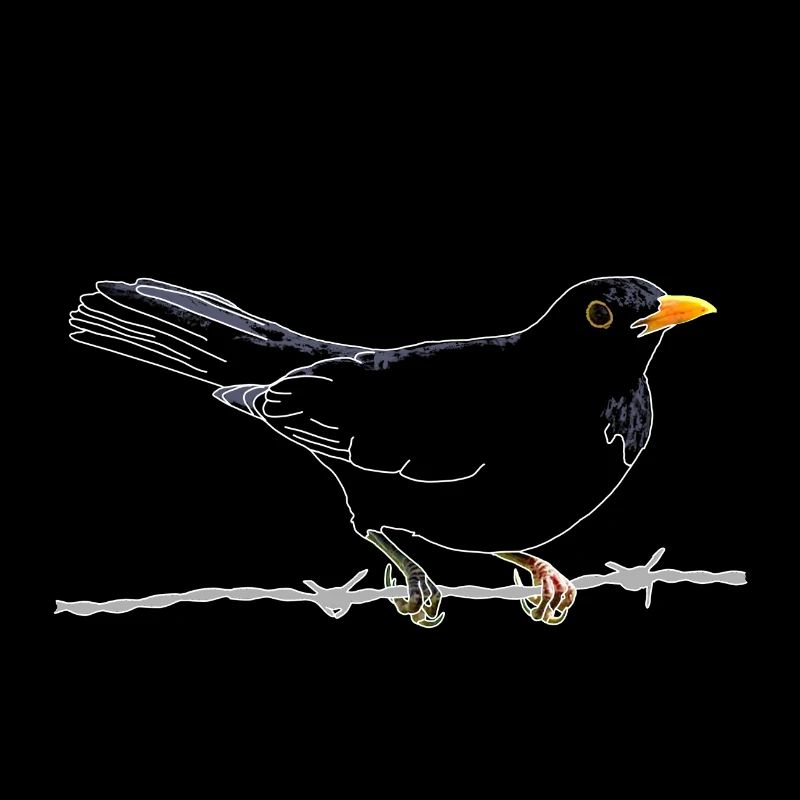 Amsel auf Stacheldraht