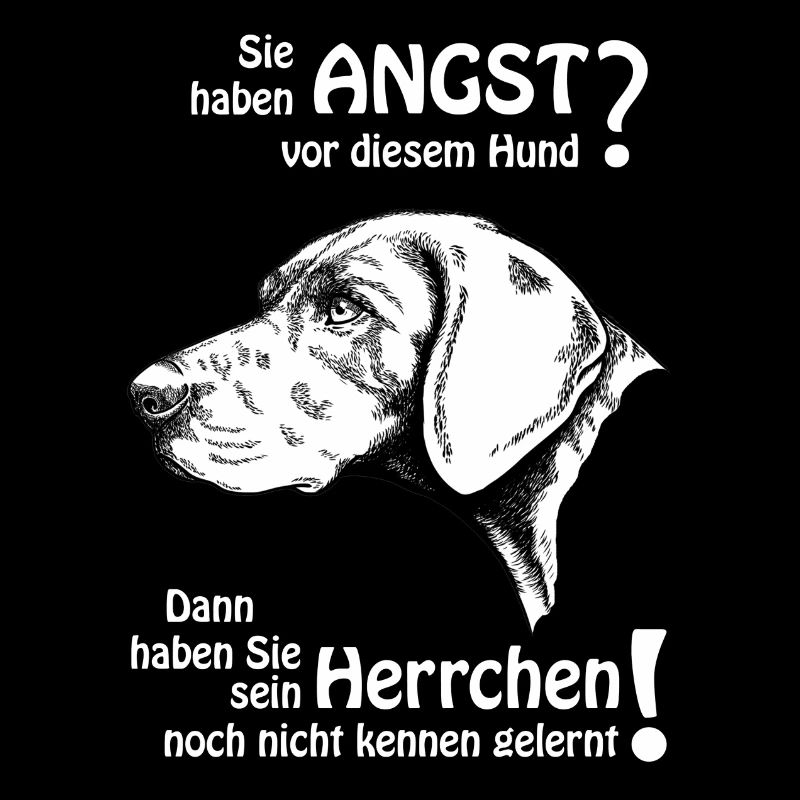 Angst vor DK? Herrchen