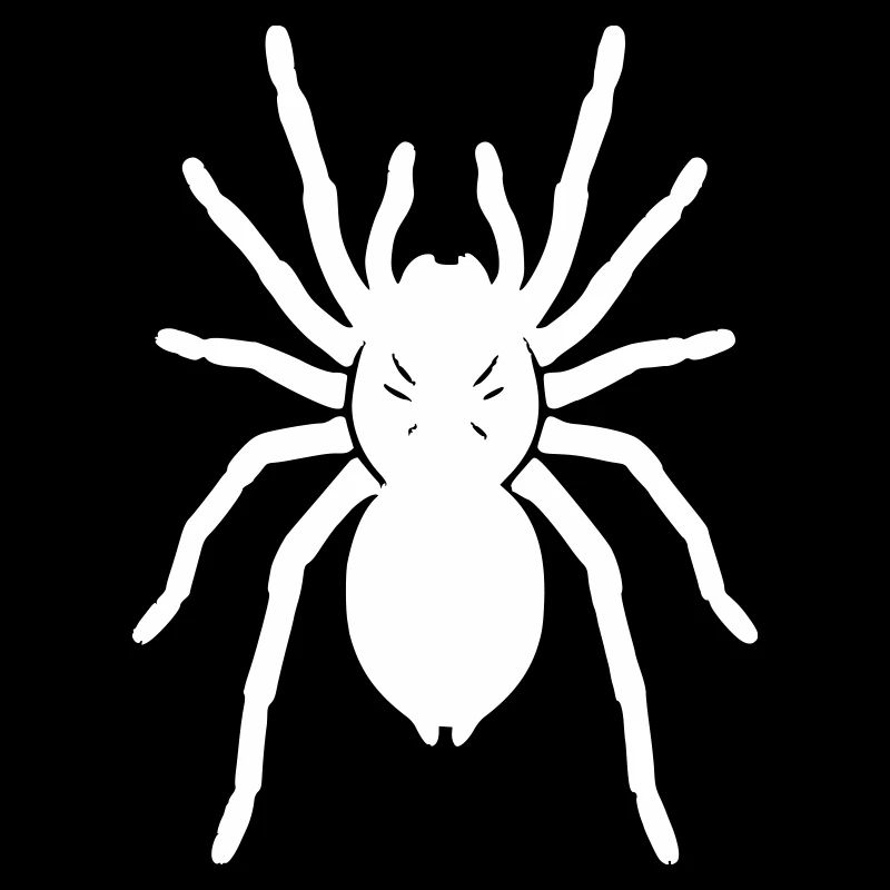 Tarantula Tarantula Realistic Vector