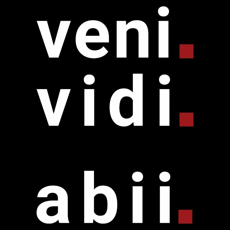 veni vidi abii Ich kam, ich sah, ich ging.