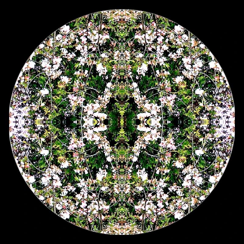 Source du Mandala de la Nature à Nuremberg