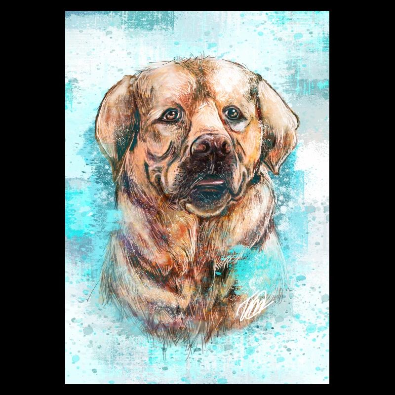 Labrador