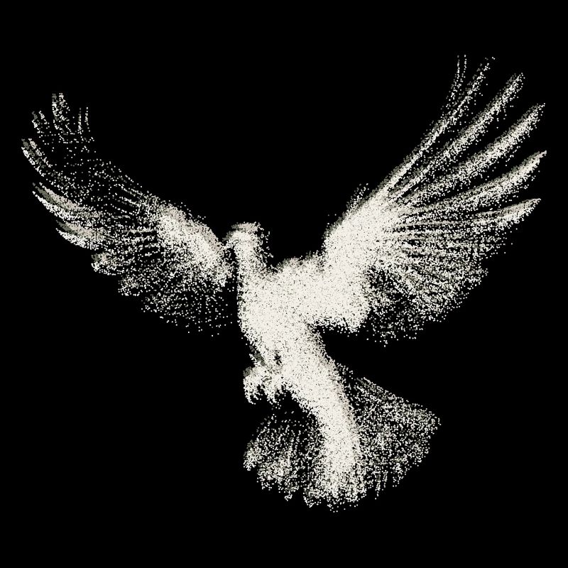Taube | Heilig-Geist-Hemd | Christliches Symbol