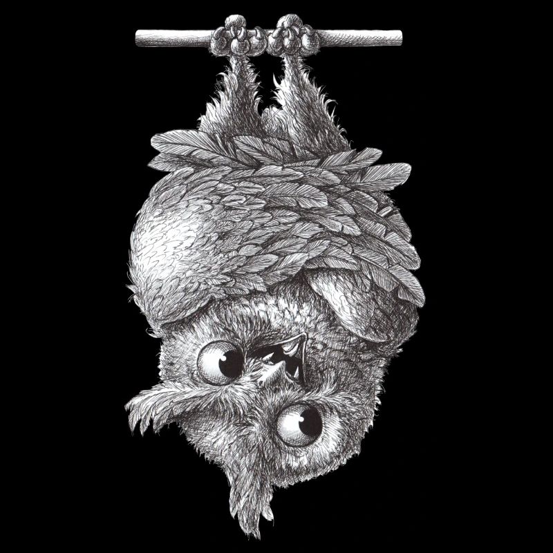 Vampire Owl - Dracula Owl