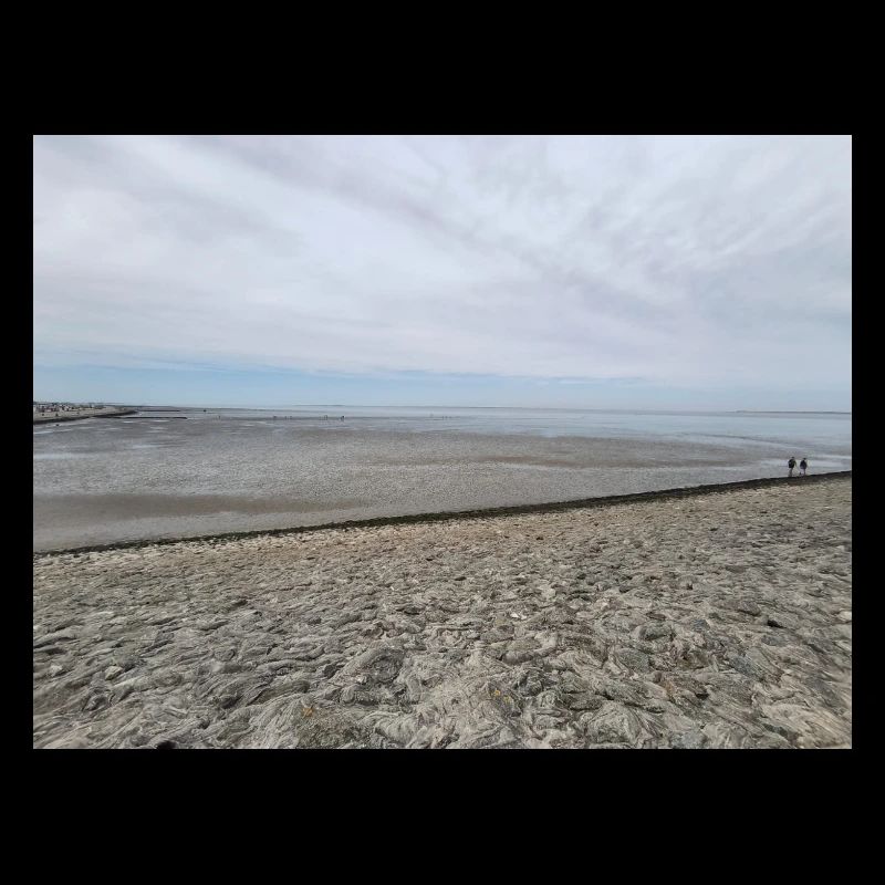 Image de sable et d’eau de la côte de la mer du Nord