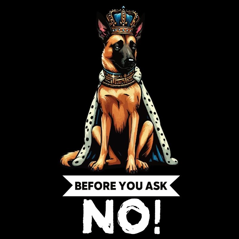 Before You Ask Malinois Belgischer Schäferhund 
