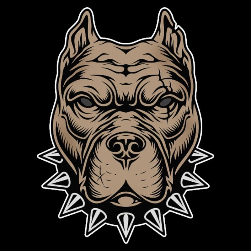 Aggressive dog