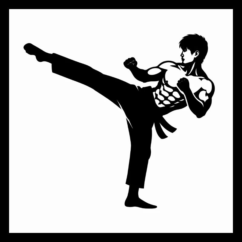 Karaté Silhouette Kicking