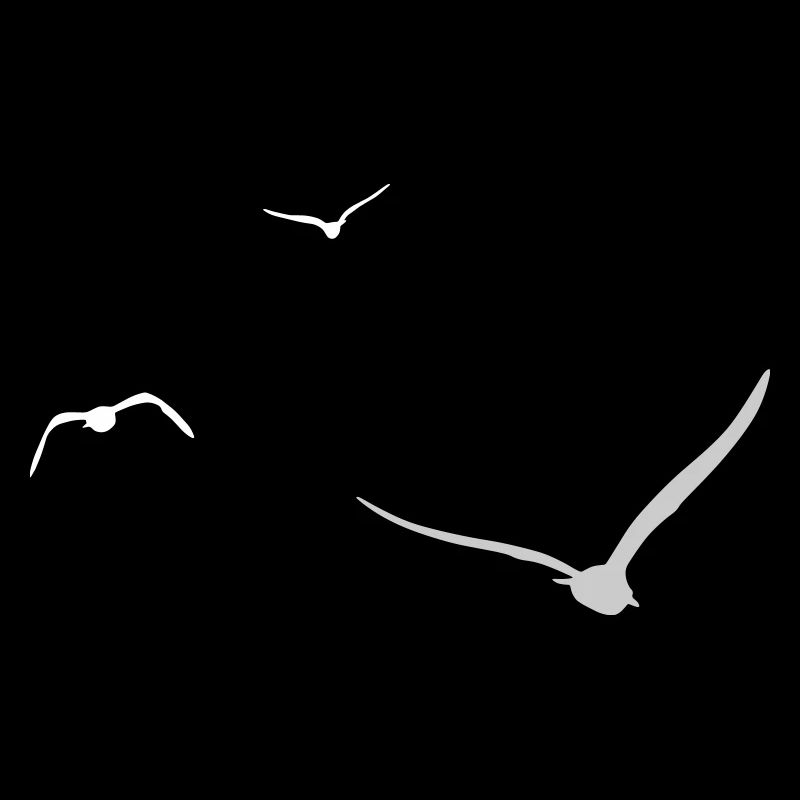 Three Seagulls | Seagull | Colors adjustable