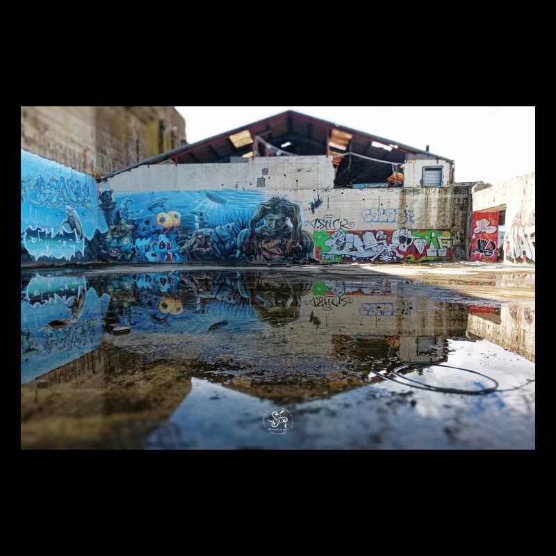 Urban Reflections – Blue Graffiti