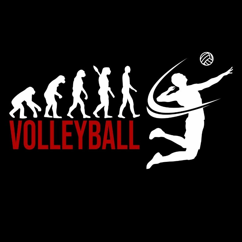 Evolution Volleyball