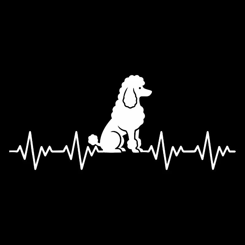 ECG du caniche Battement de cœur