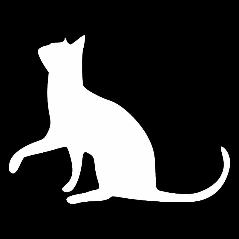 Chat chat chat chat chatte minette minou minou patte