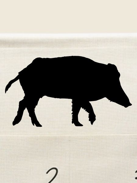 Wildschwein