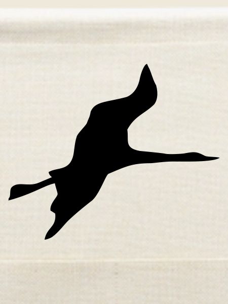 vogel kranich