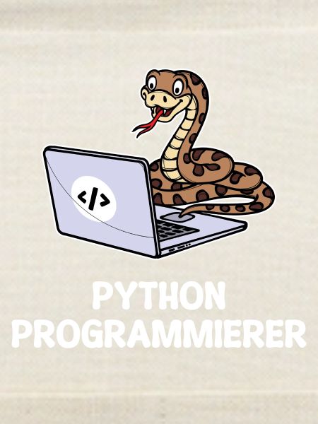 Developer Coden Statement Computer Programmierer