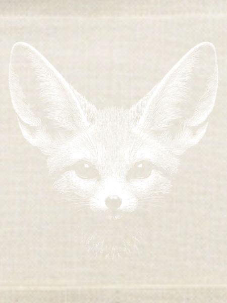 Fennek