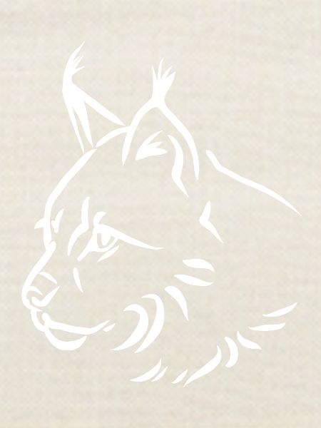 Luchs Portrait