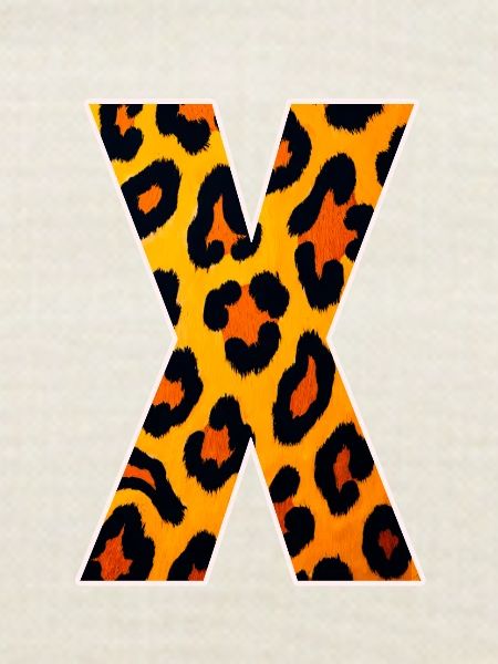 Leopard X Muster