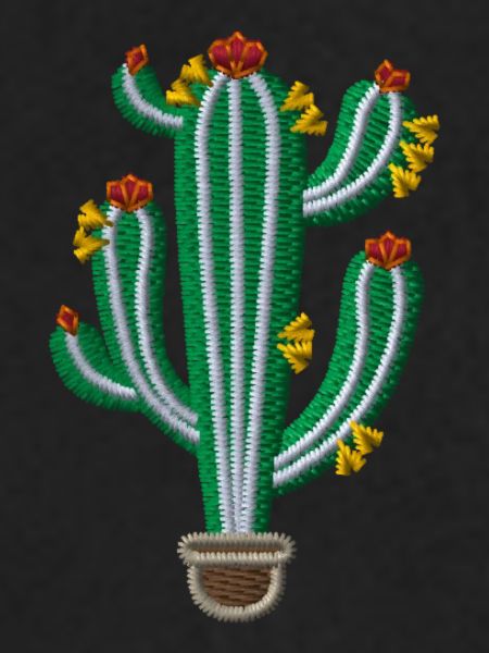 Cactus 1