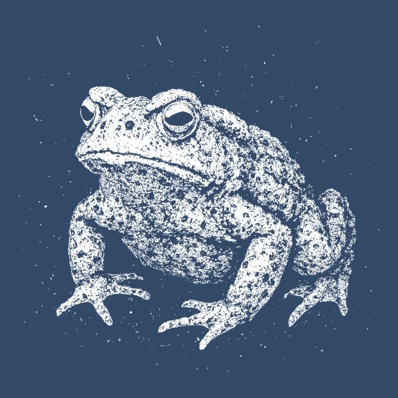 Crapaud