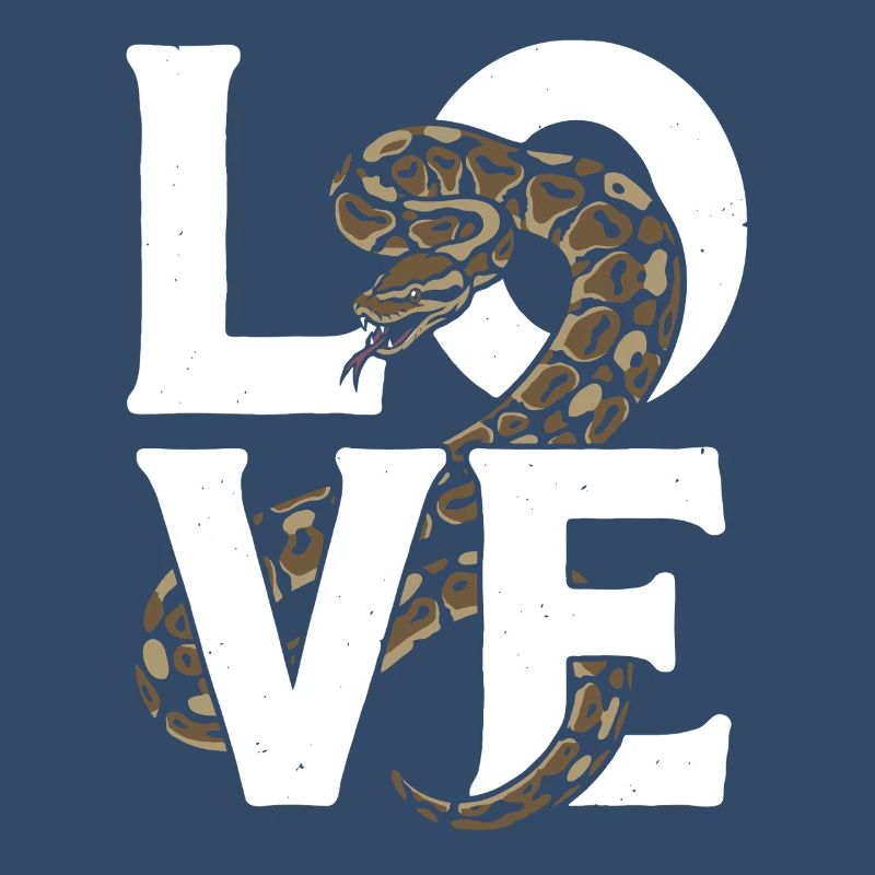 Königspython Schlangen LOVE Terrarium Python