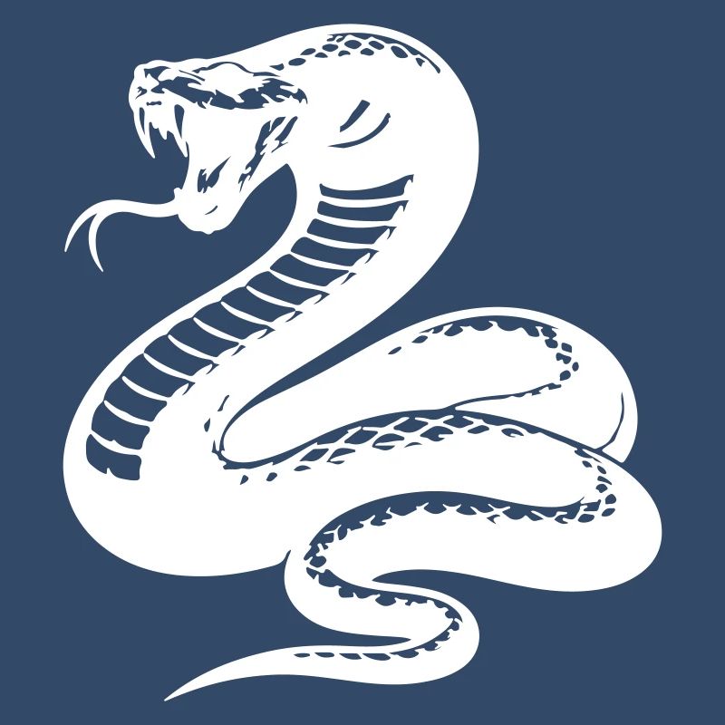 Silhouette du python serpent