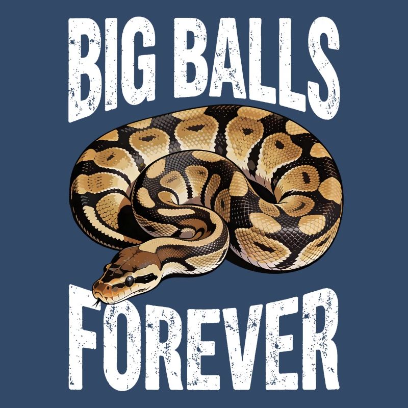 King Python Snakes Lover Terrarium Python