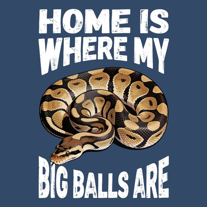 Königspython Schlangen Liebhaber Terrarium Python